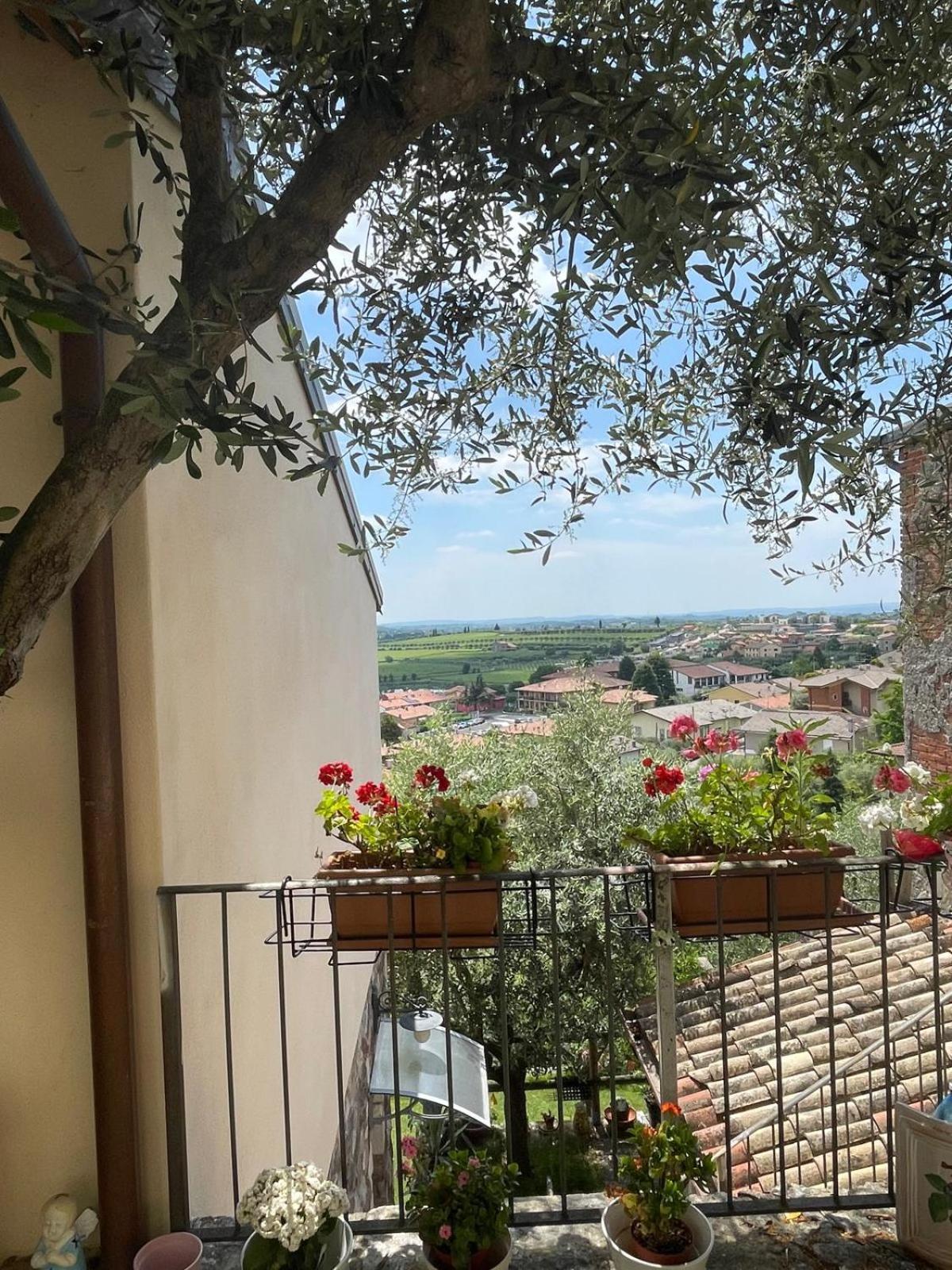 Garden Room Cavaion Veronese Bagian luar foto